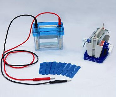 �����p��ֱ�Ӿ�x(��)��С̖(h��o)��DYCZ-24DN��