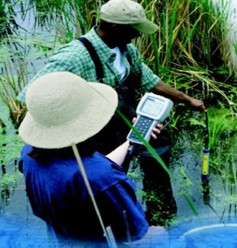 YSI 6ϵ�ж๦��ˮ�|�O(ji��n)�yϵ�y(t��ng)