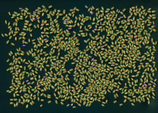 С�����^Ʒ�|������������Ǚz�y�xSC-X��