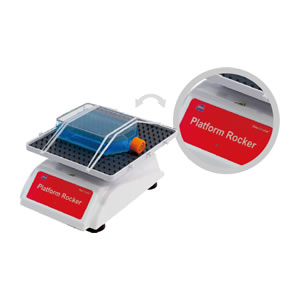 �[��С��NS-04��NS-05U